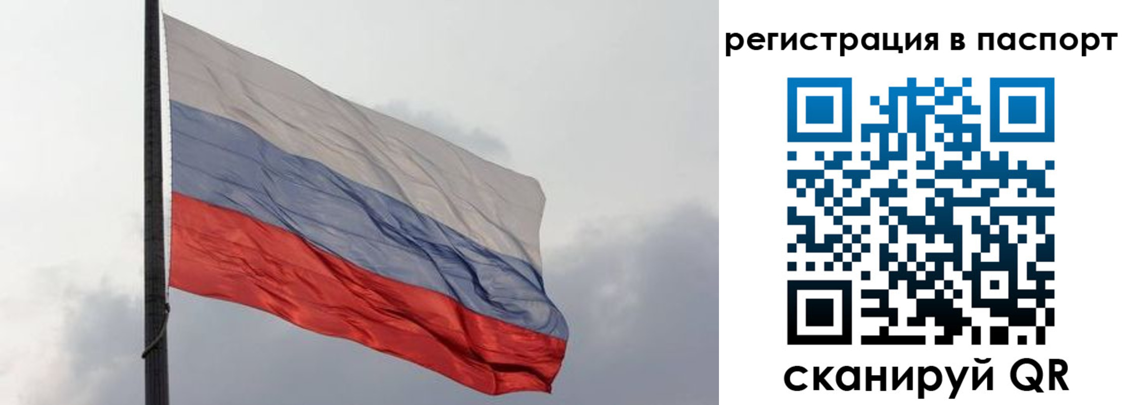 прописка для школы в Курчатове