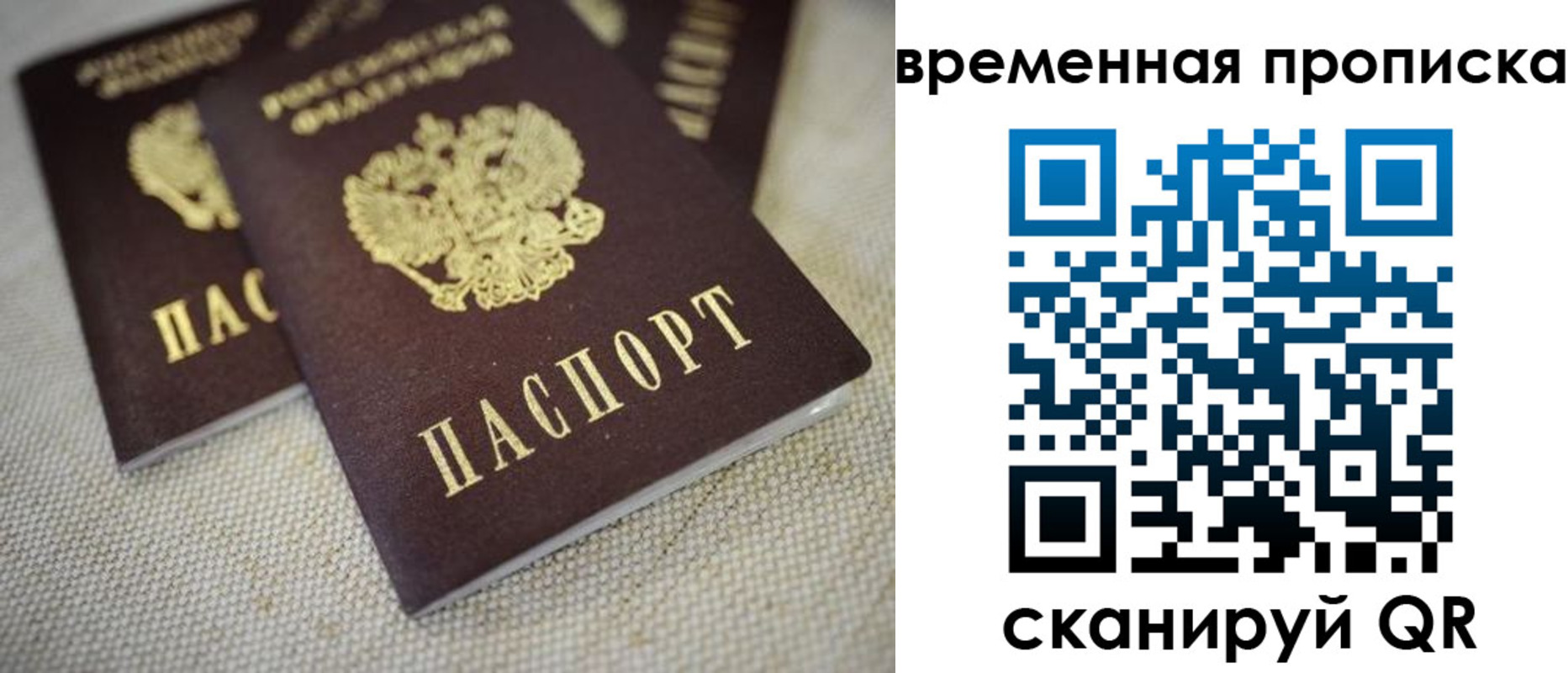 прописка в квартире в Курчатове